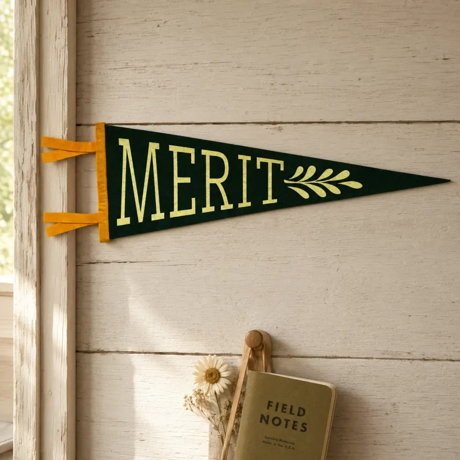 The MERIT pennant hung on a sunlit wall